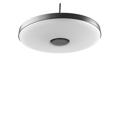 in-lite | DISC PENDANT DUO | Pendant Lights | 230V