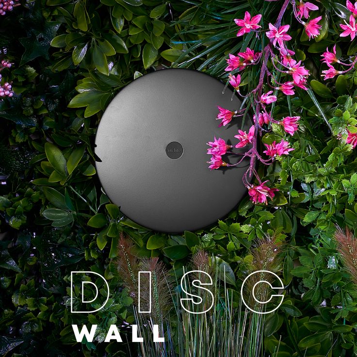 in-lite | DISC WALL | Wall lights